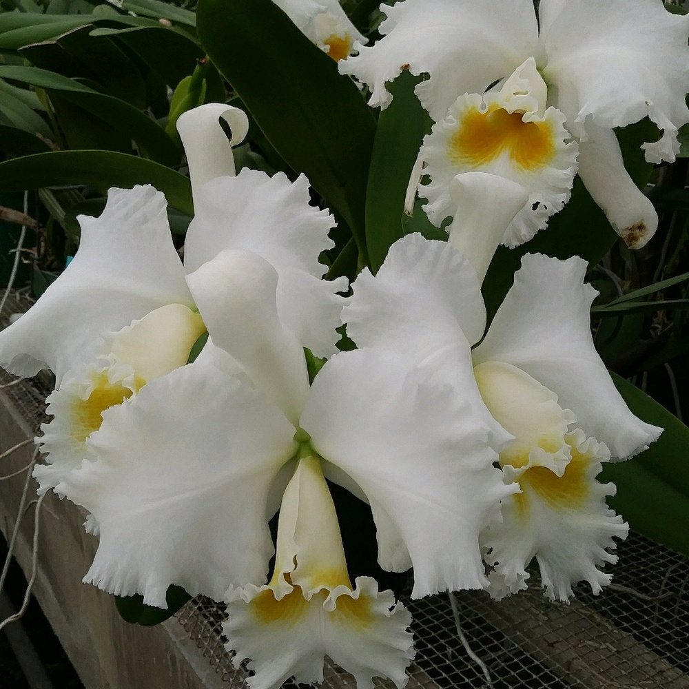 Meet your Posher, Myroslava